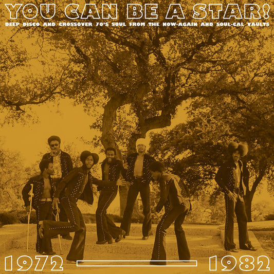 Various - You Can Be A Star! Deep Disco and Crossover 70s Soul from the Now-Again and Soul-Cal Vaults LP