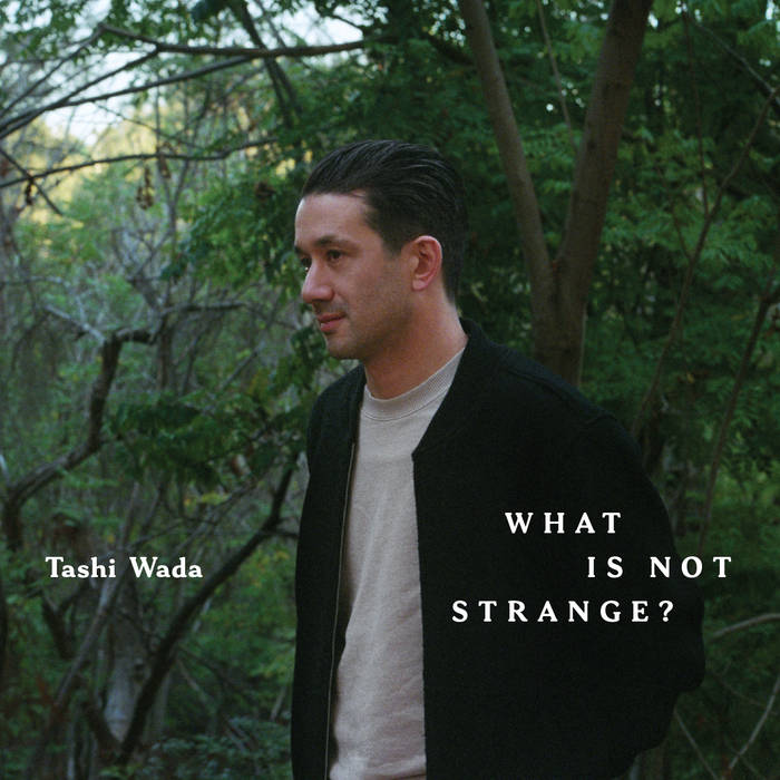 Tashi Wada - What Is Not Strange? 2LP