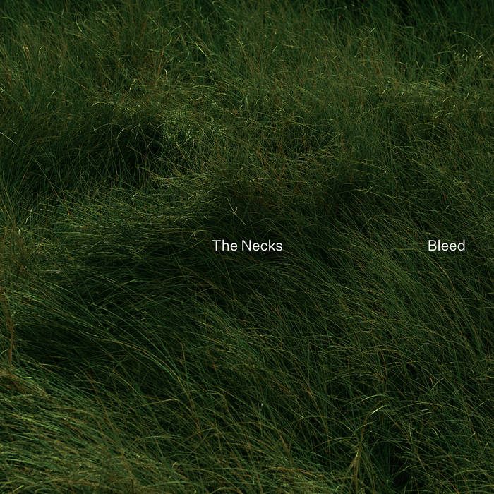 The Necks - Bleed LP