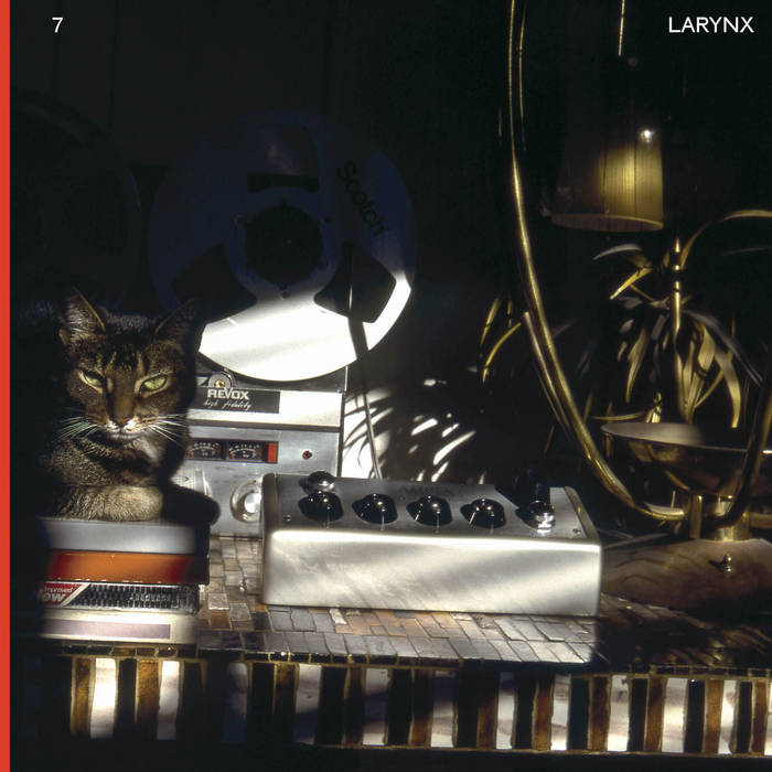 Lary 7 - Larynx 2LP