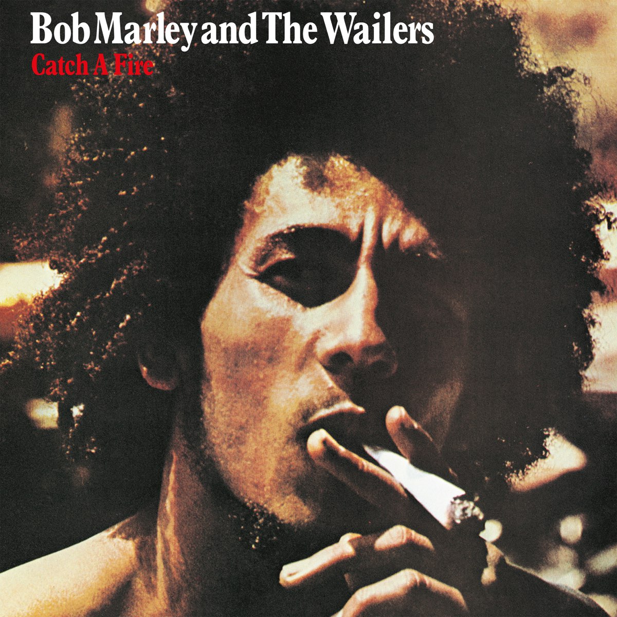 Bob Marley & The Wailers - Catch a Fire LP