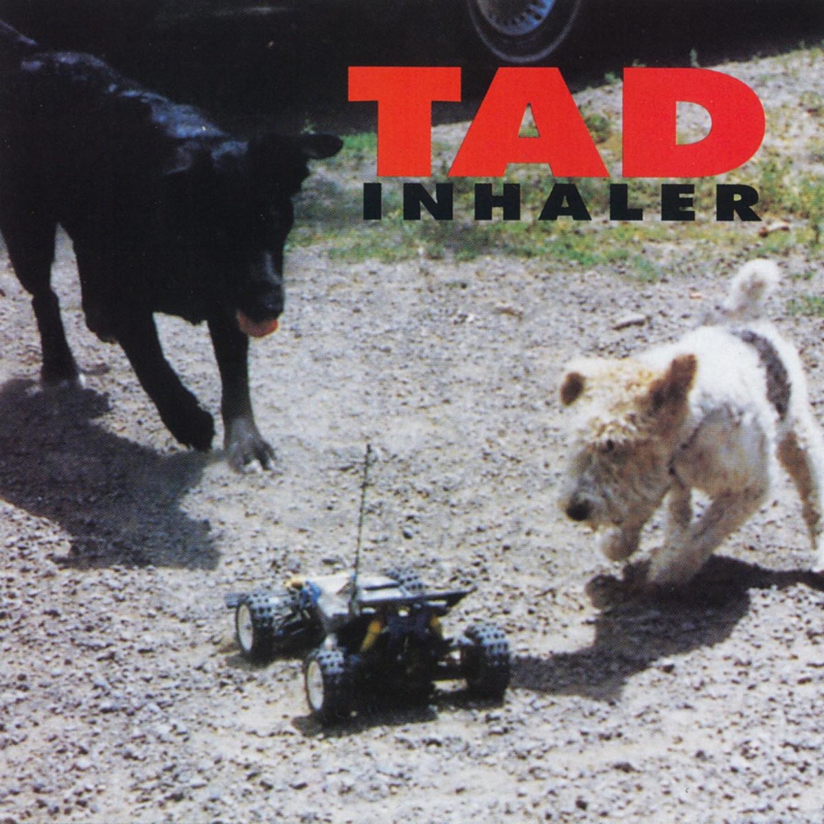 Tad - Inhaler LP