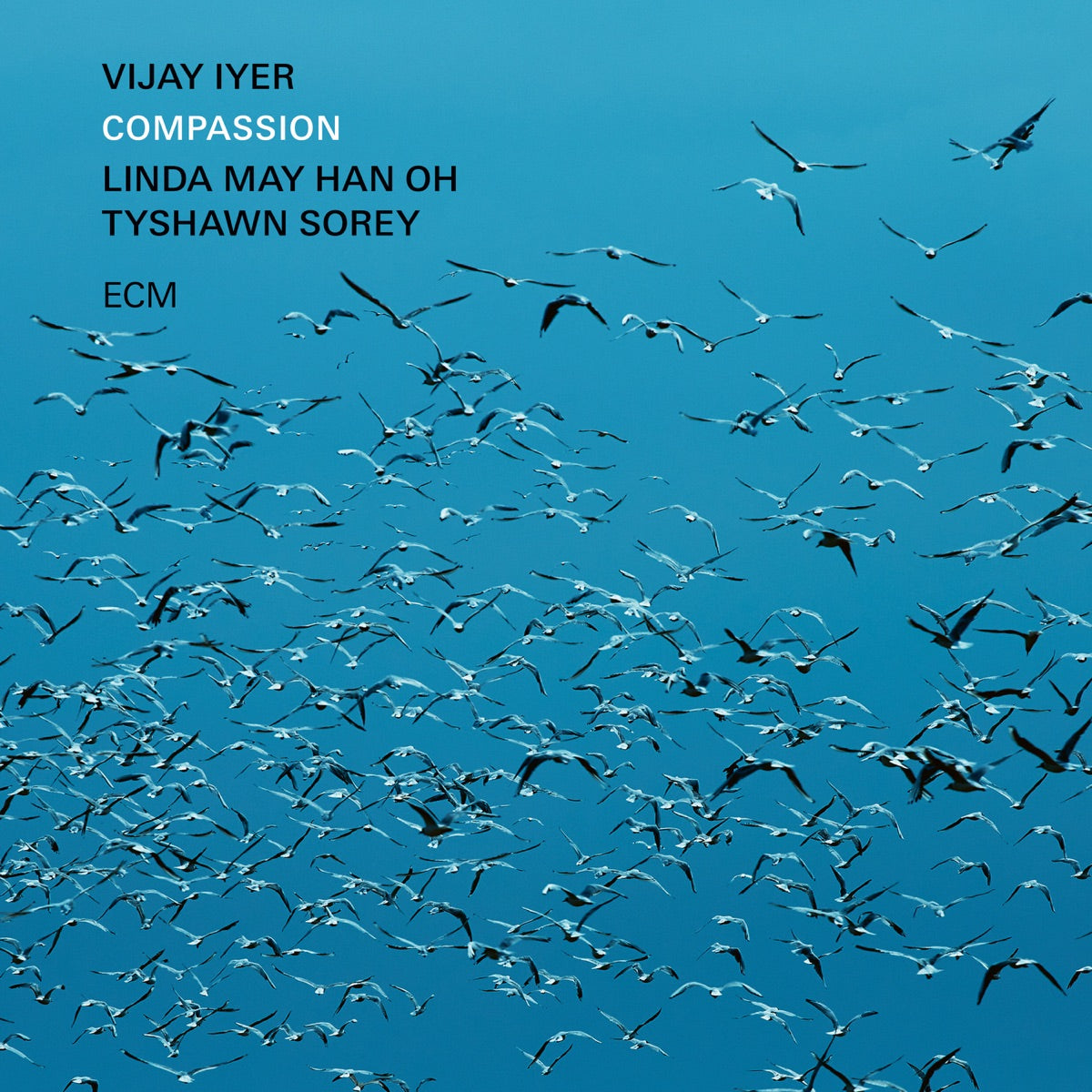 Vijay Iyer / Linda May Han Oh / Tyshawn Sorey - Compassion 2LP