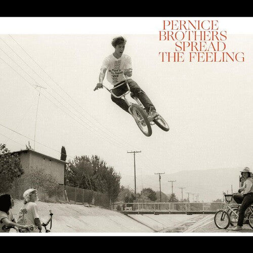 Pernice Brothers - Spread the Feeling LP