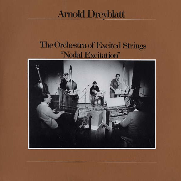 Arnold Dreyblatt & The Orchestra of Excited Strings - Nodal Excitation LP