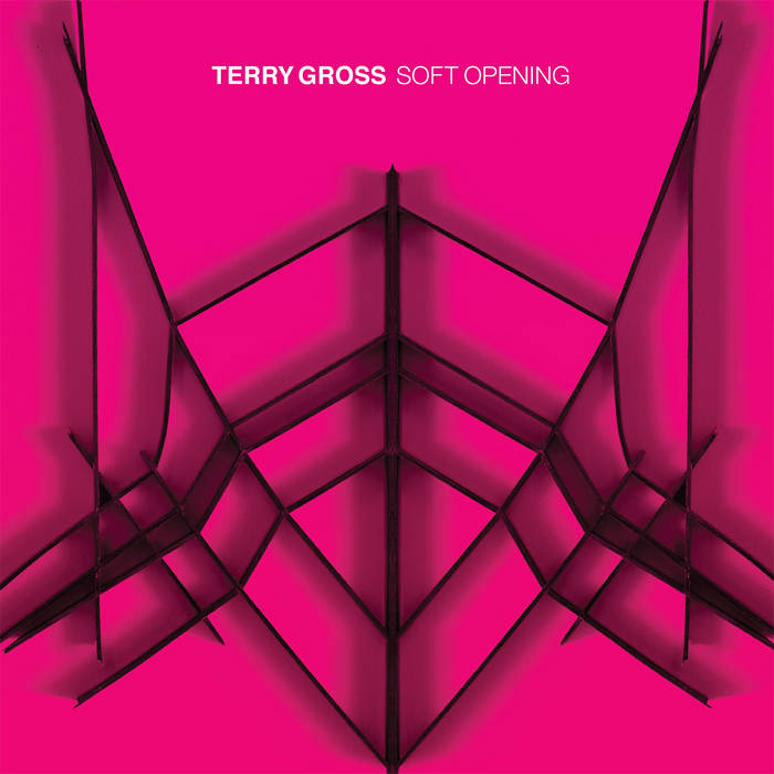 Terry Gross - Soft Opening LP (Ltd Blue Vinyl Edition)