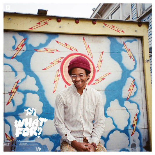 Toro y Moi - What For? LP